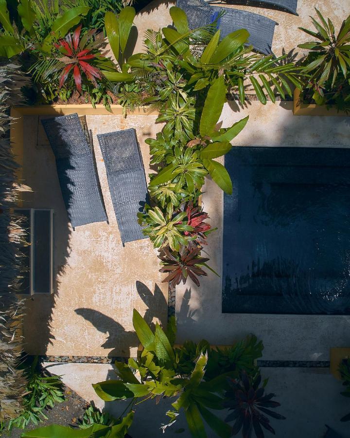 Shawandha Lodge Puerto Viejo de Talamanca Εξωτερικό φωτογραφία