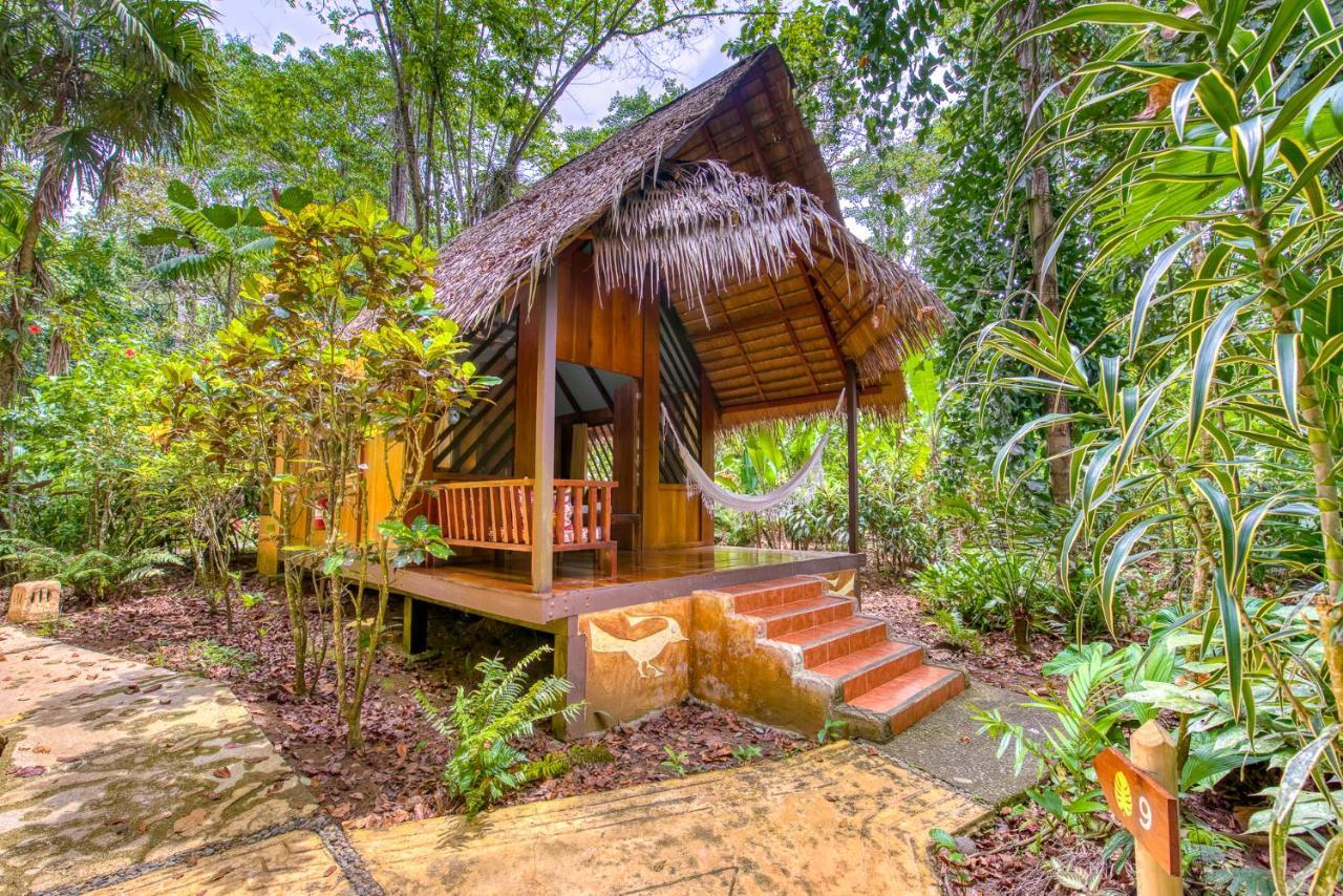 Shawandha Lodge Puerto Viejo de Talamanca Εξωτερικό φωτογραφία