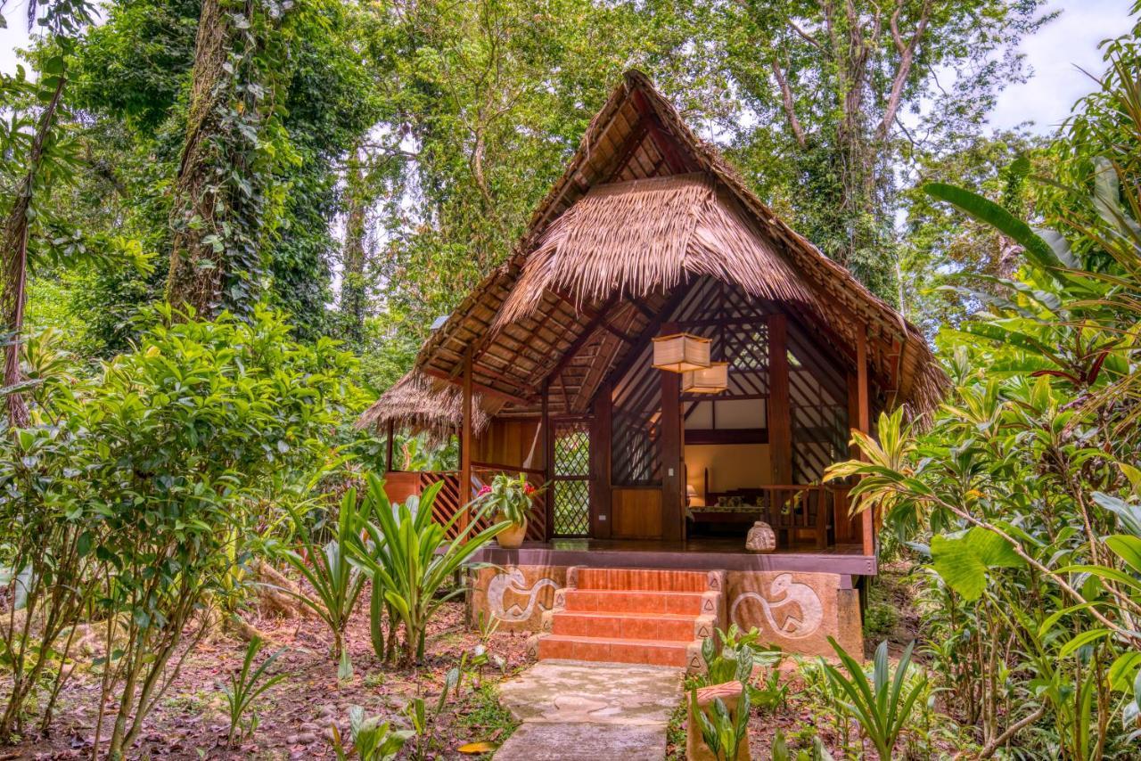 Shawandha Lodge Puerto Viejo de Talamanca Εξωτερικό φωτογραφία